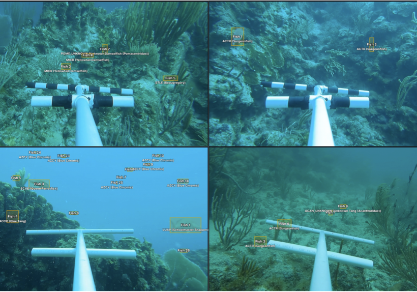 Screenshot 2025-11-15 at 9.34.35 PM